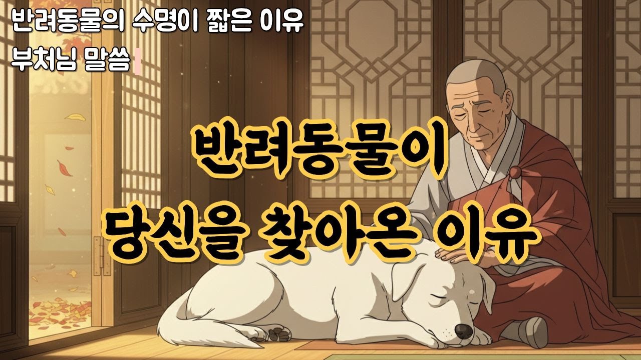 반려동물은 우연히 만난게 아니다. 슬퍼마라 다시만난다. 전생의 인연 ㅣ부처님말씀 l 인연법 l 반려동물이별