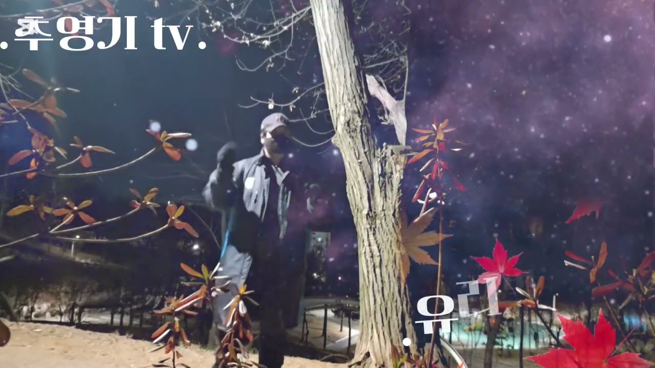 추영기 tv./.#배우는중./.박진도./.#유리벽사랑./.ㅡ🍁☕️💃