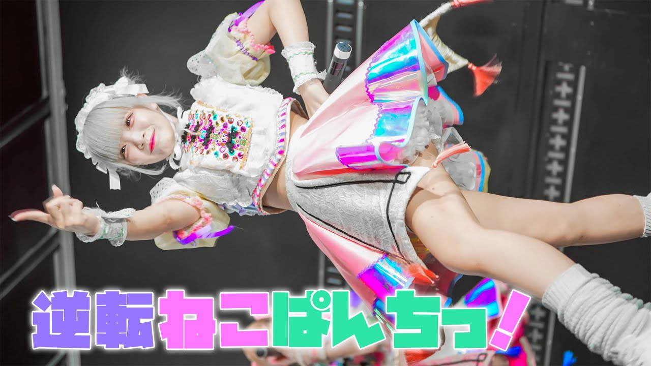 【逆転ねこぱんちっ！】アイドル『未完計画 / 命短し欲張れ乙女』Japanese girls Idol group [4K]