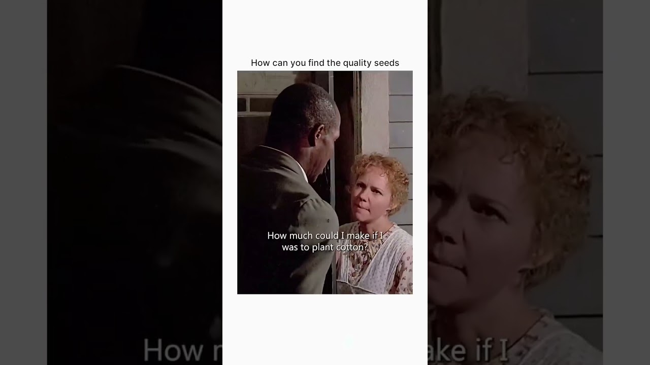 Places in the Heart (1984)  #movie #movieclips #2025reels #film #fypシ゚viralシ #fbyシvideo  #reelsfypシ