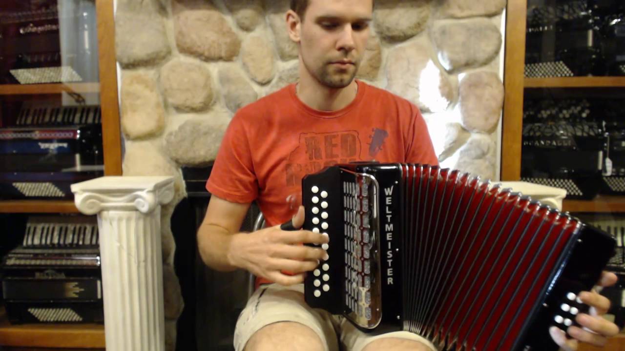 WELT406ADLMBK - NEW Black Weltmeister 406 Monika Diatonic Button Accordion A D LM 21 8 $999