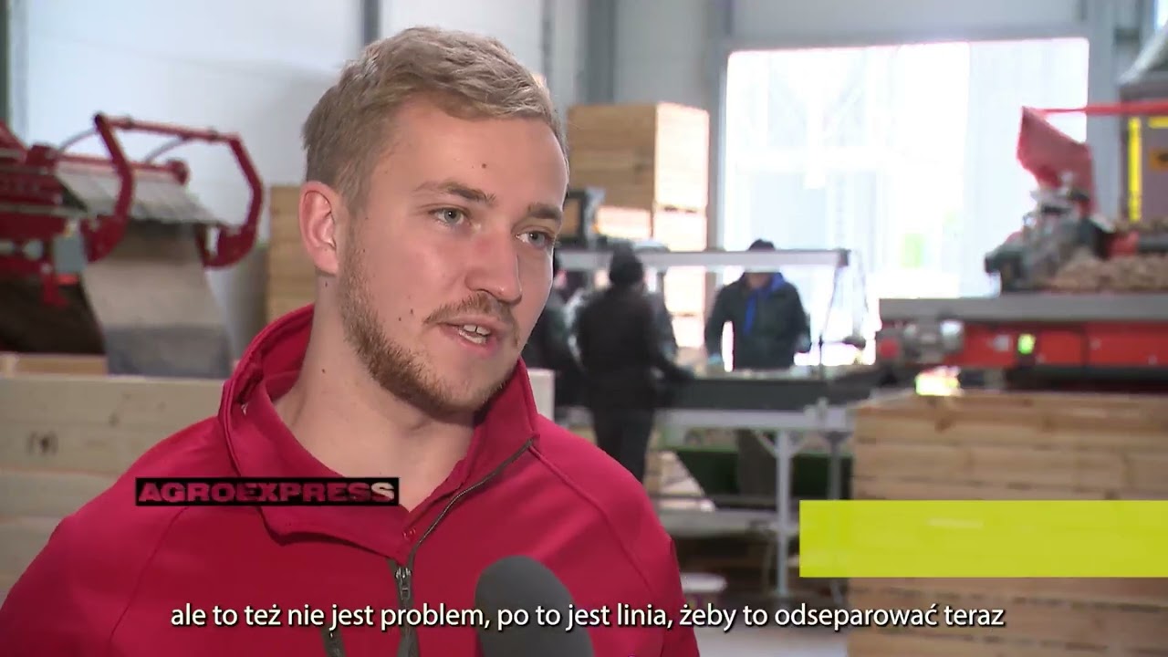 Agroexpress - zbiory selerów i porów, przygotowanie ziemniaków do sprzedaży oraz ich przechowywanie