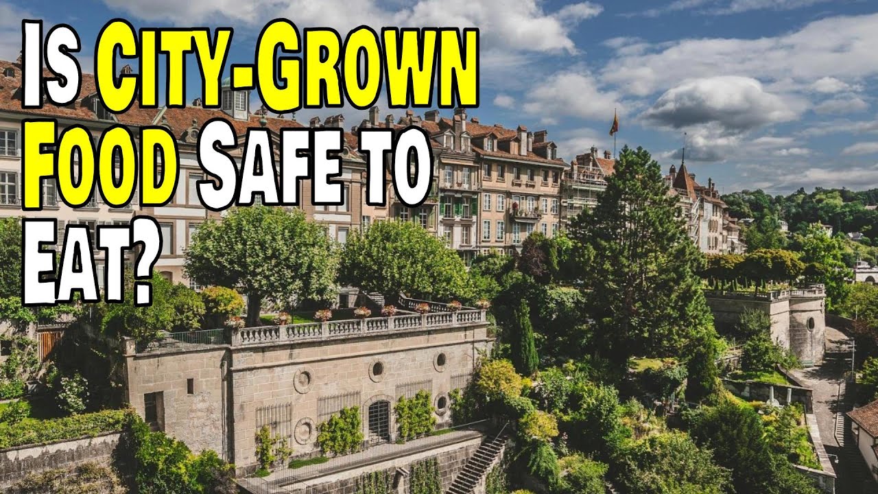 Is City-Grown Food Safe to Eat? Episode 136.