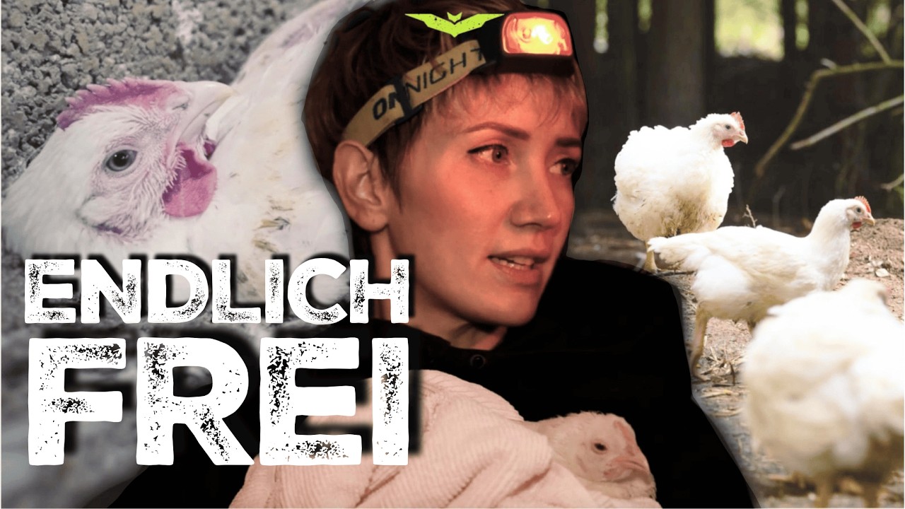 Dieser Film ver&auml;ndert dein Weltbild &uuml;ber H&uuml;hner | Ihre zweite Chance