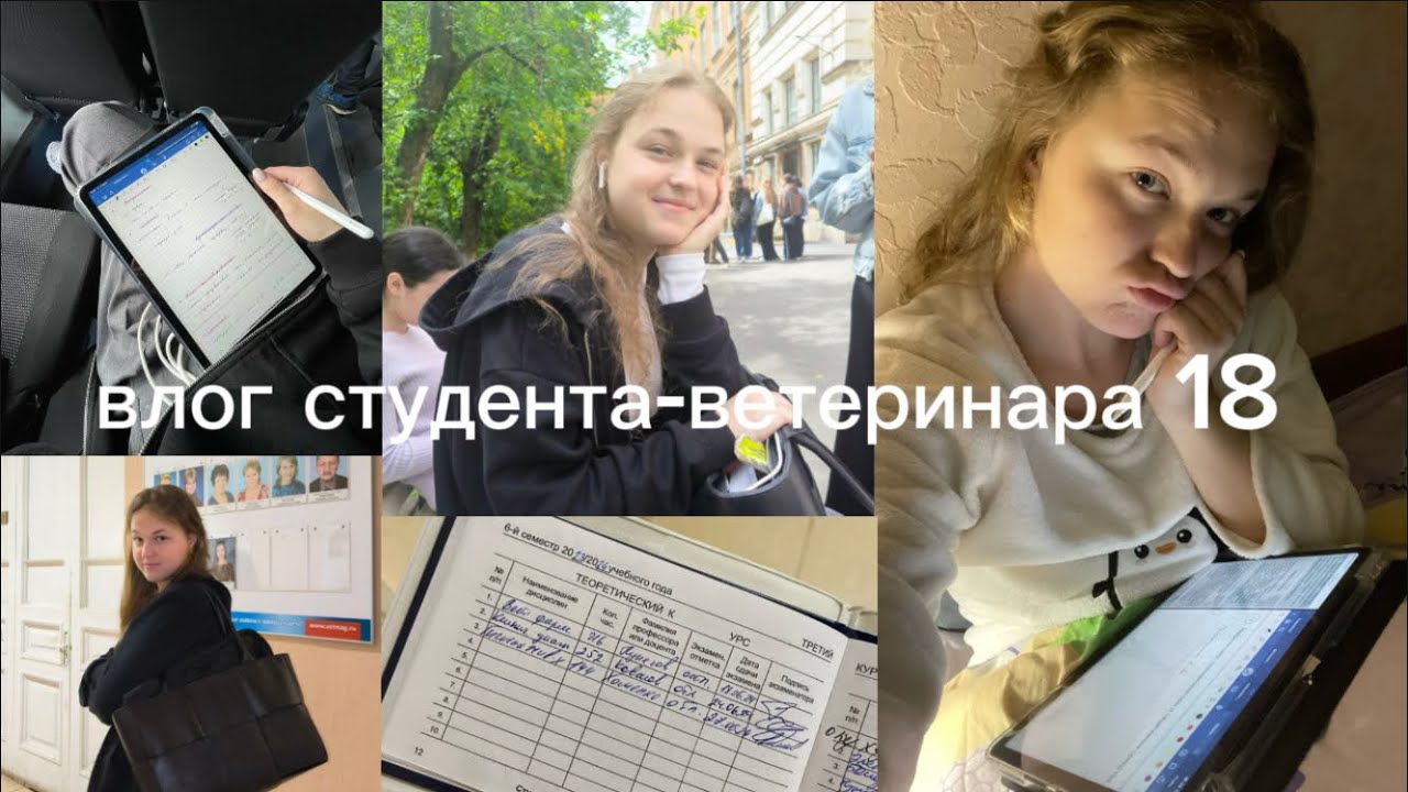 влог студента-ветеринара #18 (летняя сессия 3 курса)