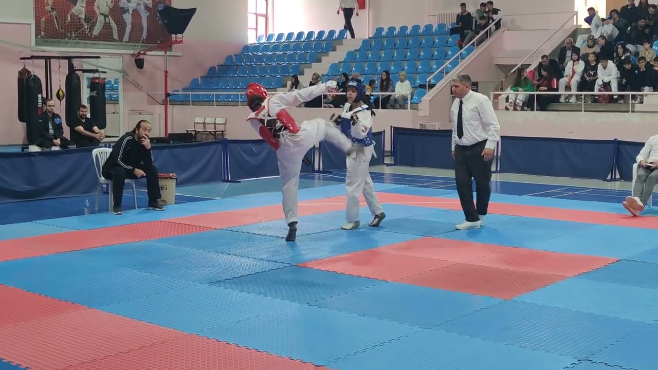 Erzurum Taekwondo Şampiyonası