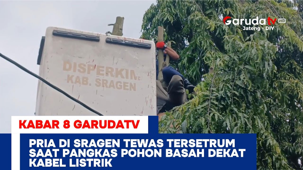 Pria di Sragen Tewas Tersetrum Saat Pangkas Pohon Basah Dekat Kabel Listrik