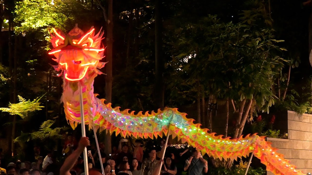 Dragon dance | Chinese New Year | CNY 2025 | Jewel Changi Airport, Singapore | Nikon Z30 video