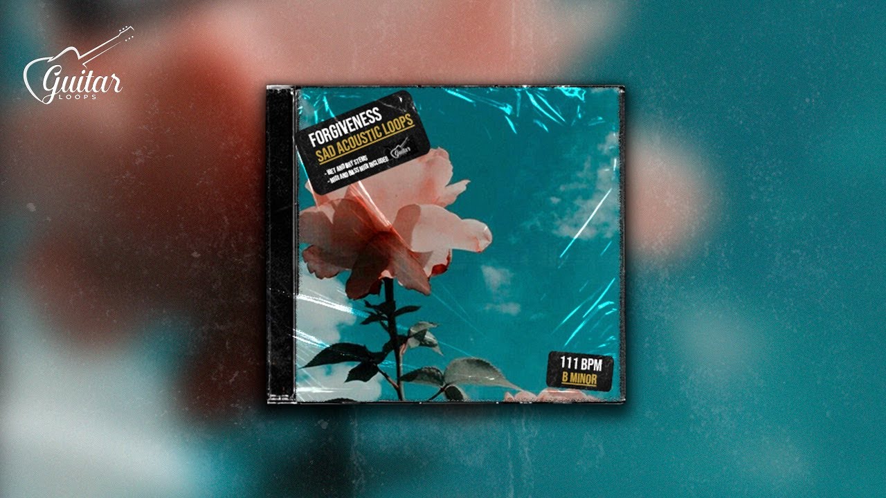 (FREE) Sad Acoustic Guitar Sample No Drums | Acoustic Pop | 