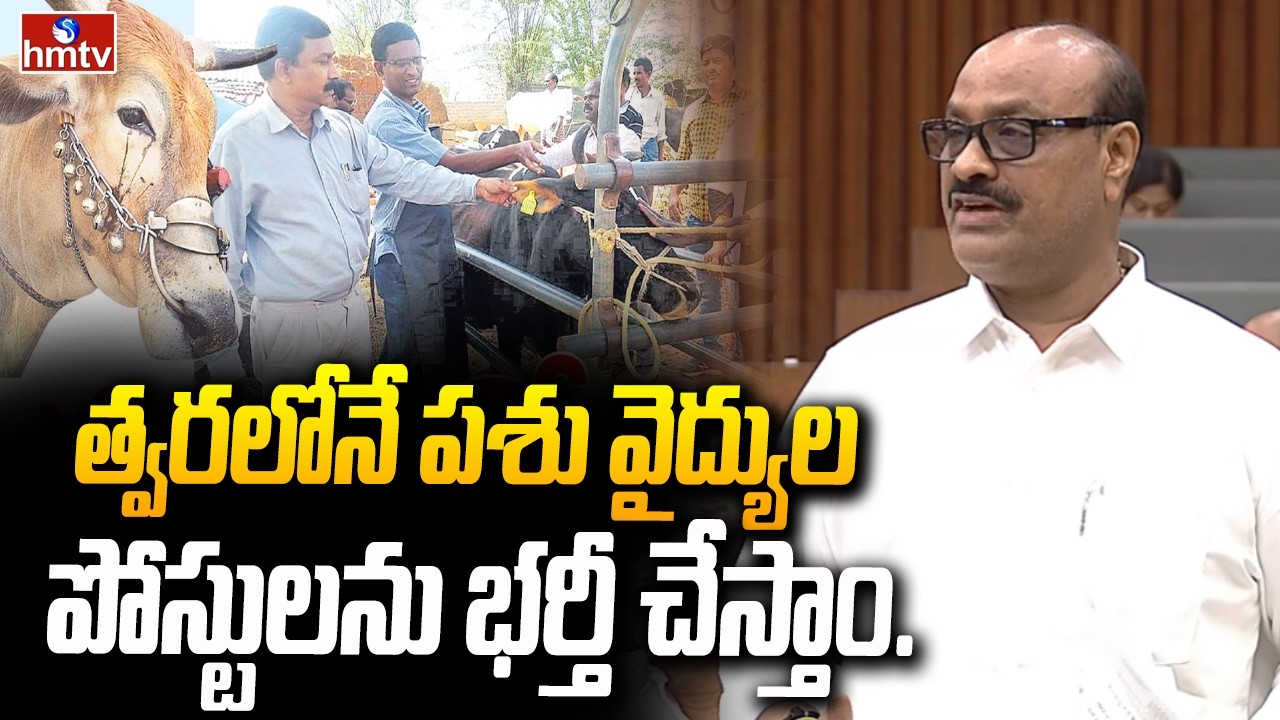 త్వరలోనే పశు వైద్యుల పోస్టులను భర్తీ చేస్తాం..| Minister Atchannaidu | AP Assembly | hmtv