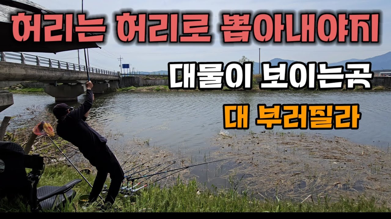 붕어낚시 /낮에도 대물이 잘나온다/옥수수 글루텐