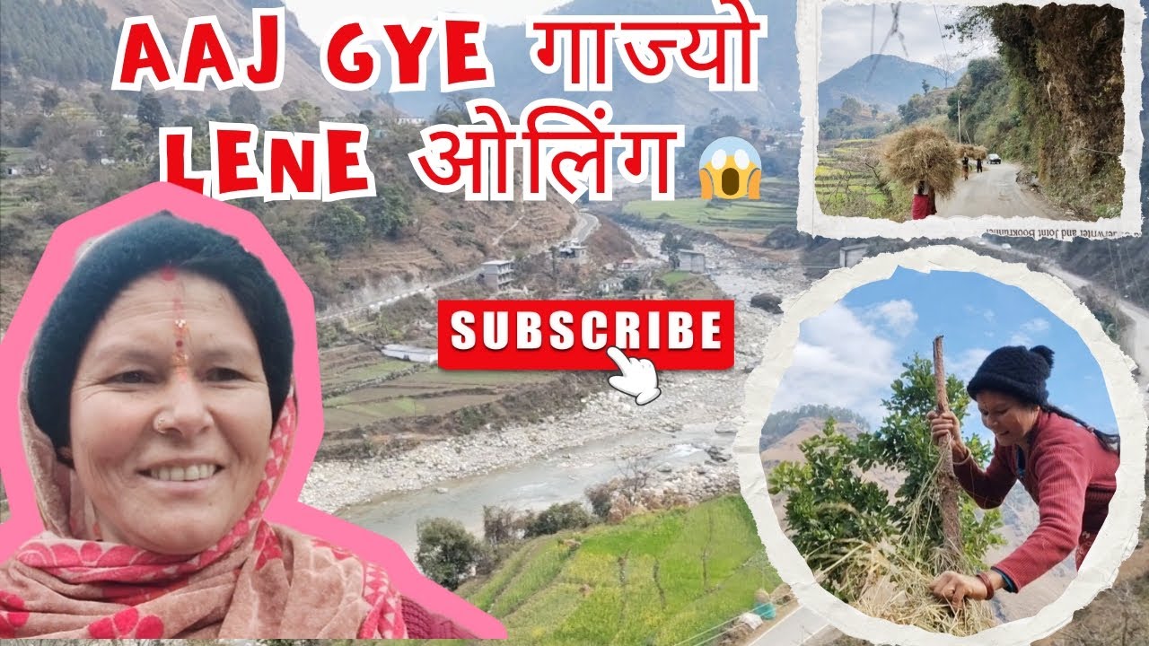 आज गए हम गाज्यो लेने ओलिंग⛰️😱❤️#pahadi #modernkumaun #phadilifestyle #pahad vlog #villagelife #vlog 