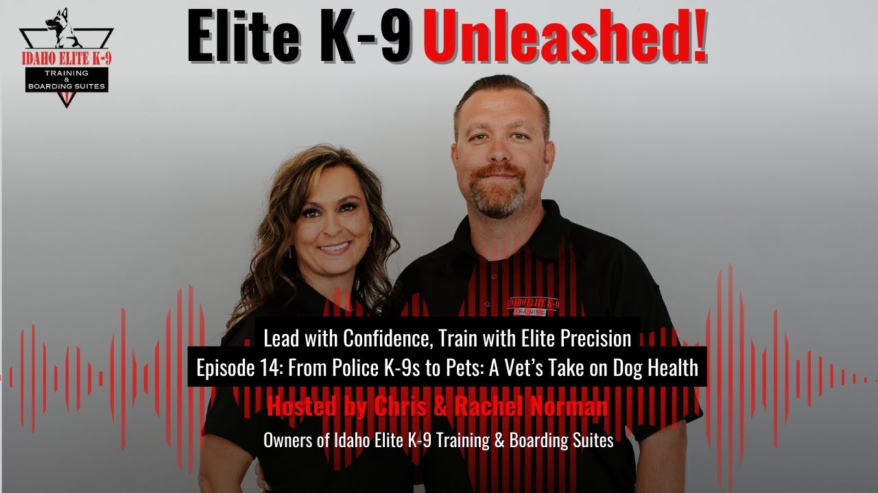 Elite K-9 Unleashed Episode 14: From Police K-9s to Pets: A Vet’s Take on Dog Health