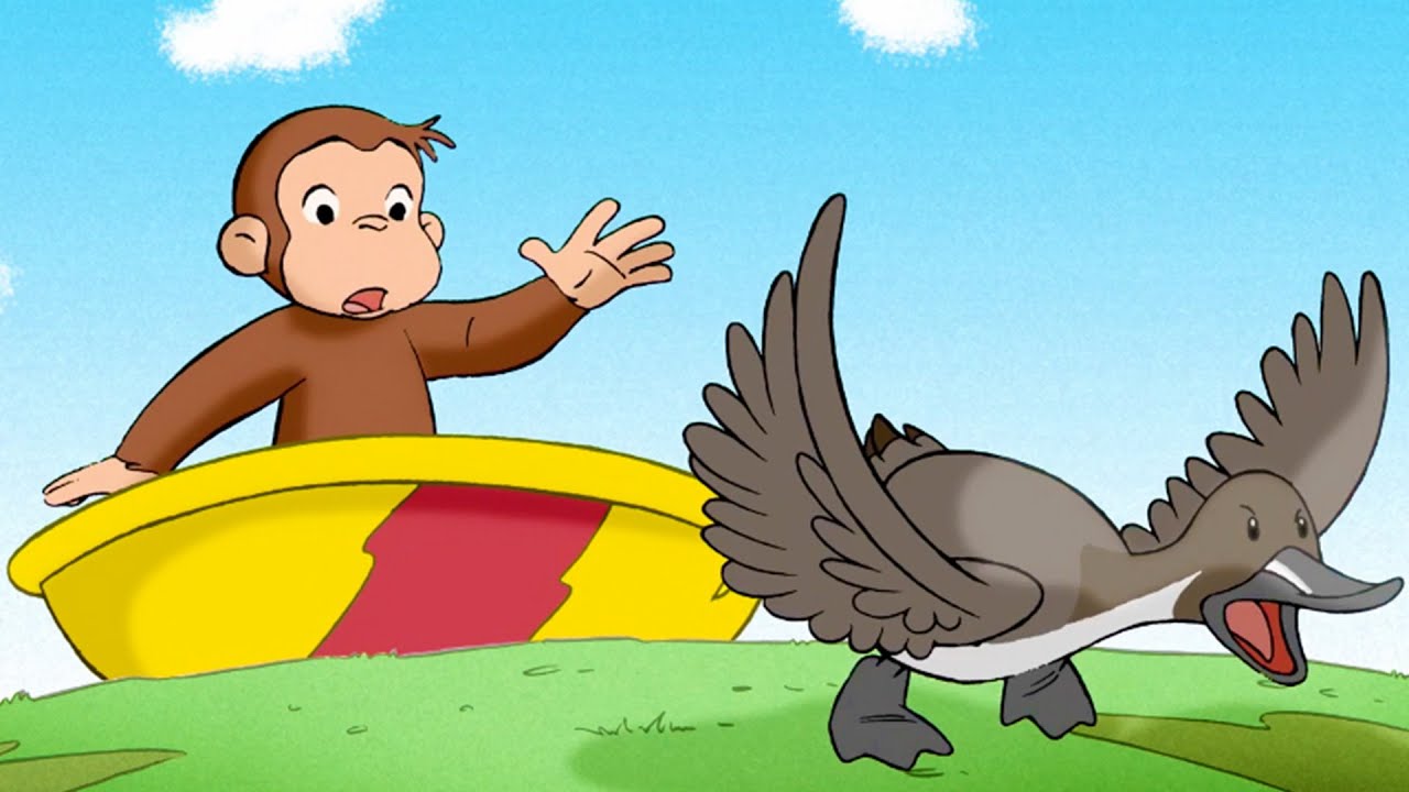 Coco baut eine Wasserrutsche! | Coco der Neugierige | Cartoons für Kinder