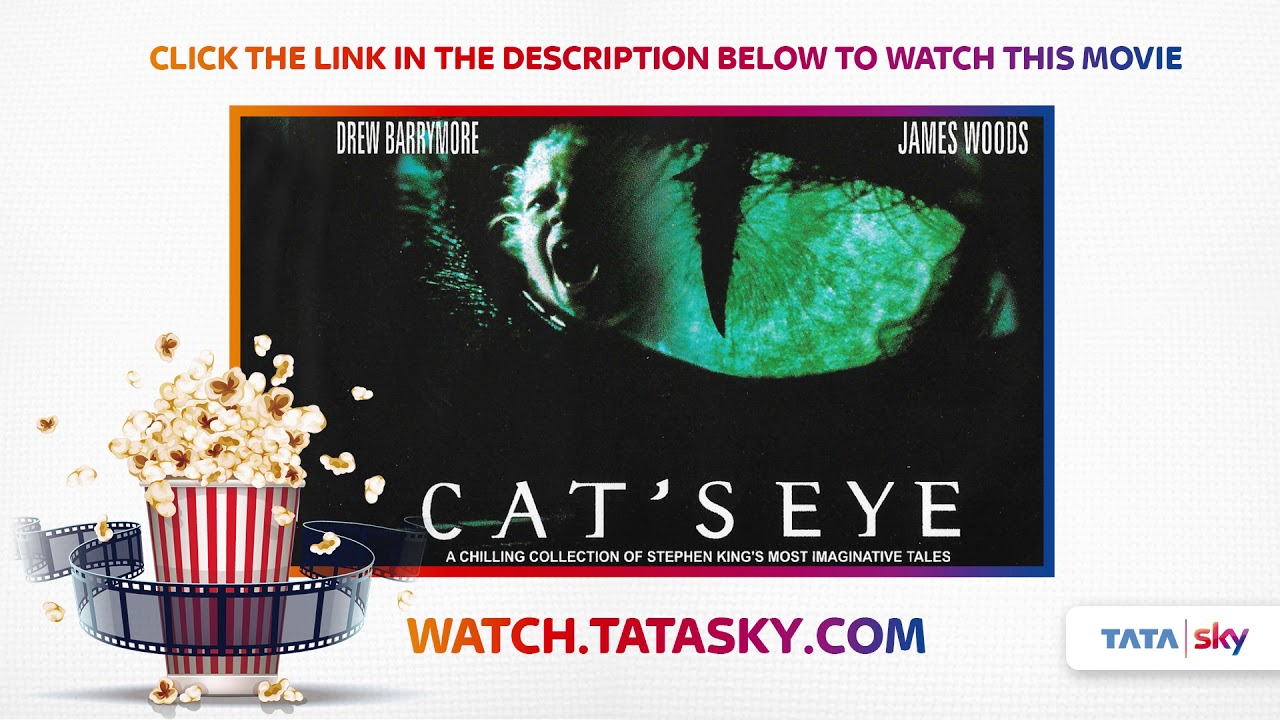 Watch Full Movie - Cats Eye