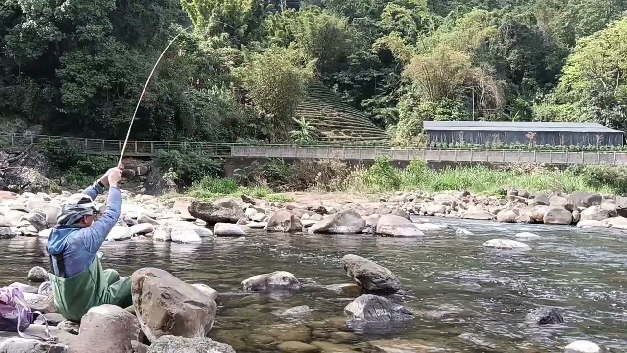 明偉釣魚/坪林北勢溪過水橋冬天釣法/第48釣