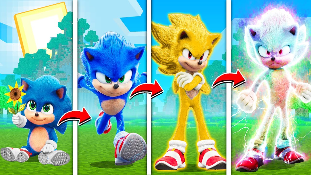 CICLO DE VIDA DO HYPER SONIC NO MINECRAFT ‹‹ P3DRU ››