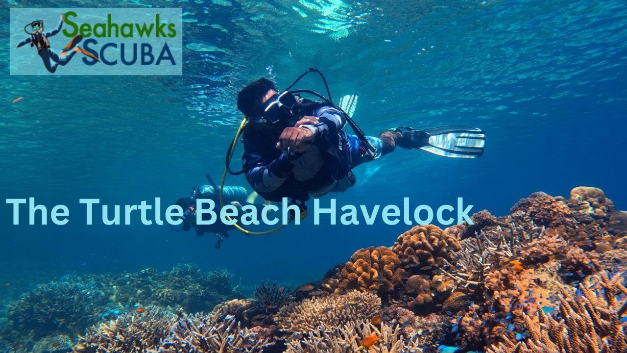 Scuba Diving at Turtle Beach | Scuba Diving in Andaman | Seahawks SCUBA #turtlebeach #havelock