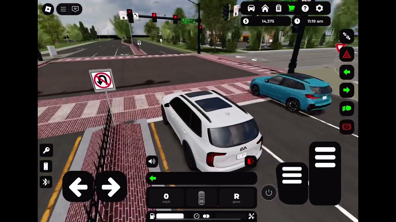 Me driving
