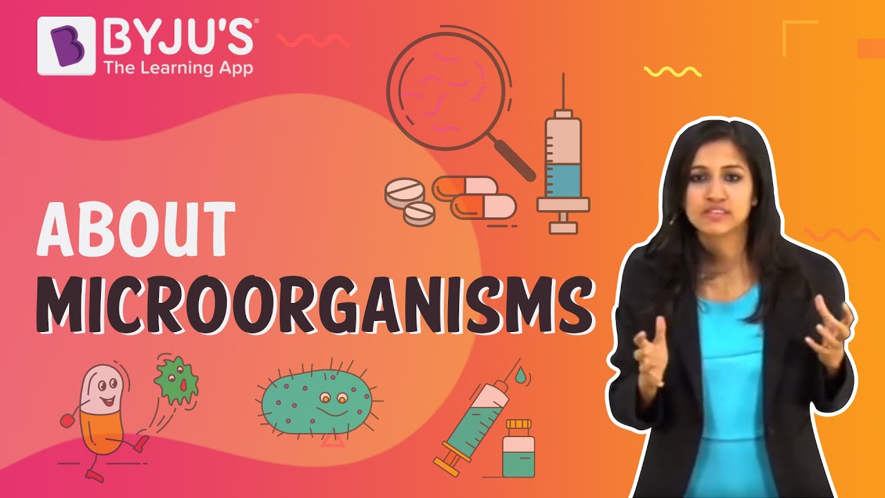 Microorganisms - Save Yourself with Vaccines and Antibiotics