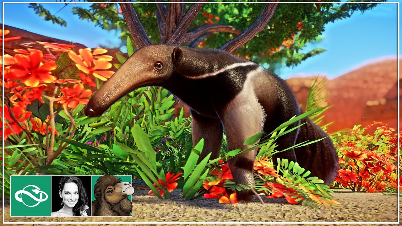 🐫 Giant Anteater Habitat | Desert Franchise Mode | Planet Zoo |