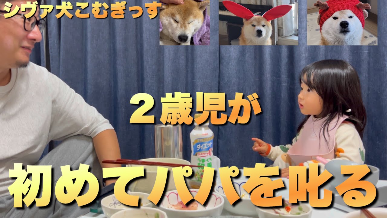１年前まで歩けなかった娘が、今はパパを叱るまでに成長。柴犬こむぎ