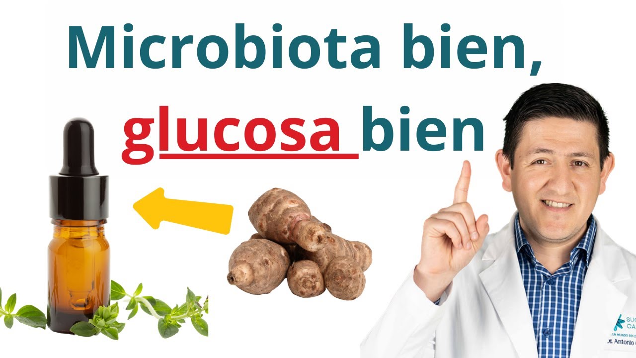 Esto mejora la microbiota y revierte la diabetes tipo 2