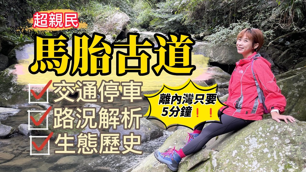 【新竹】超親民、新手也能爬！新竹馬胎古道，離內灣只要5分鐘