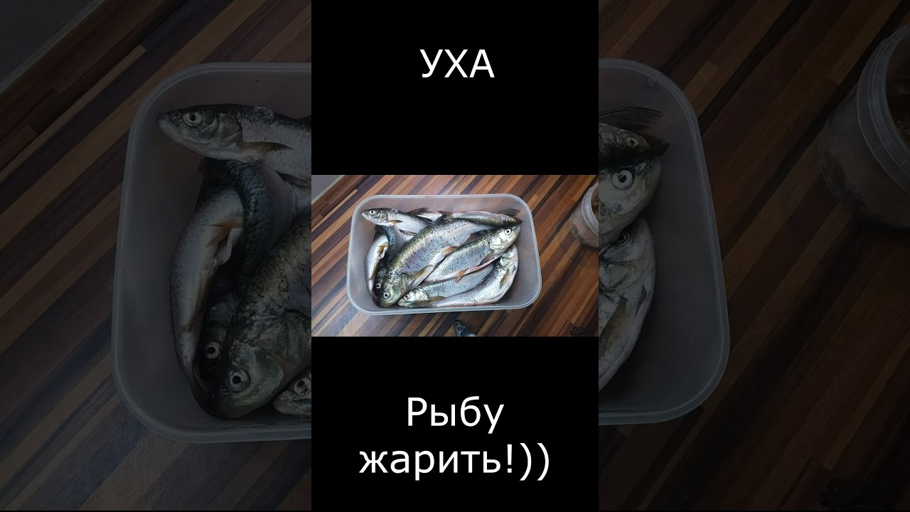 Уха, и жареная рыба с икрой!!!
