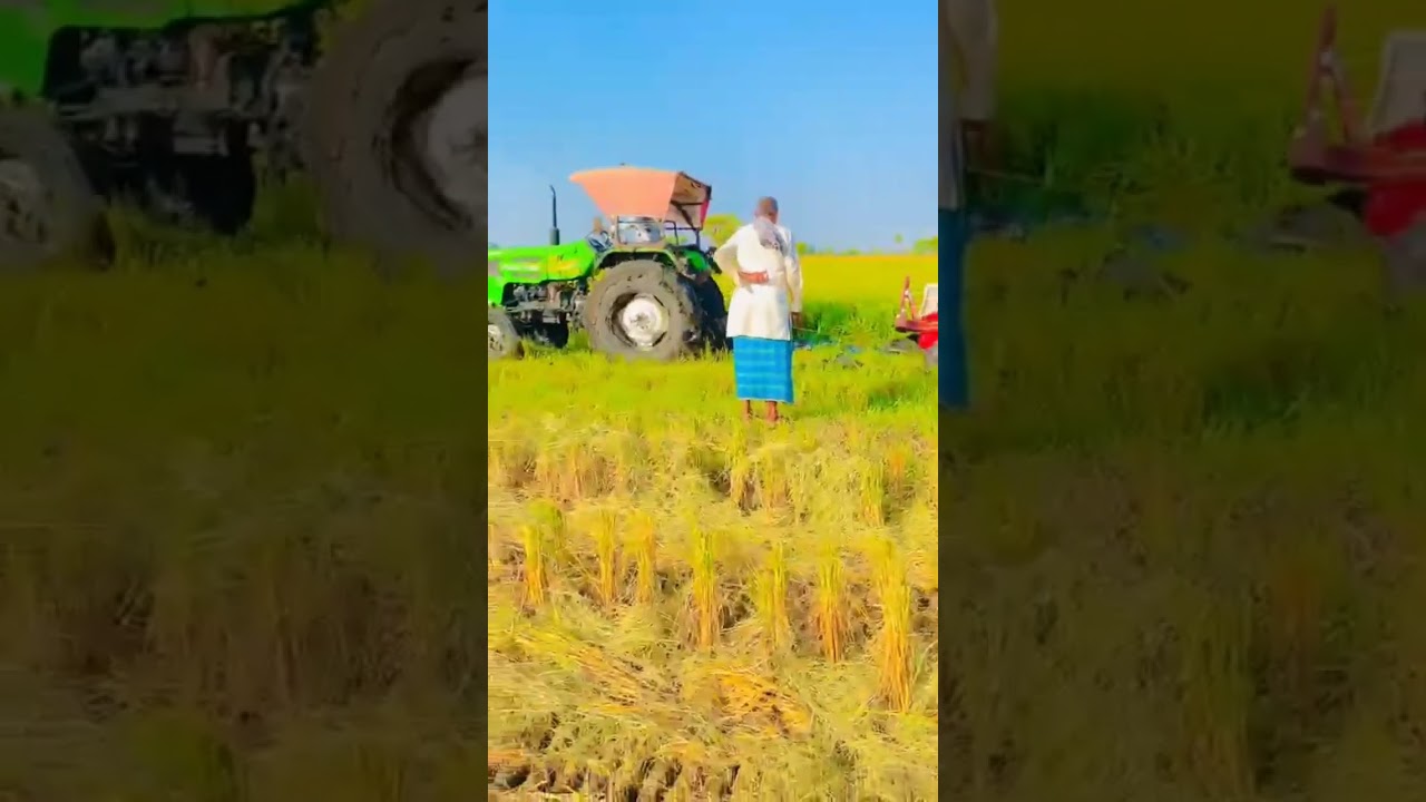 Badmash KD Indo Farm Vs Mahindra#trendingshorts #trending #