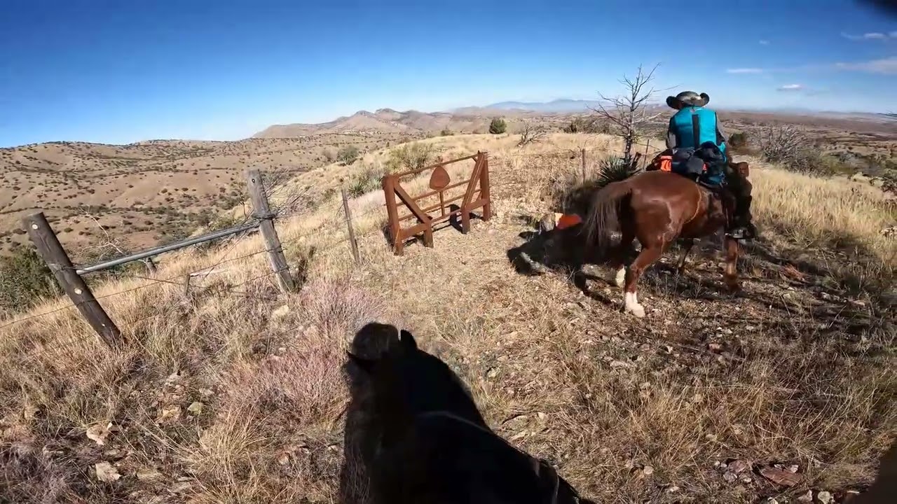 Arizona trail riders 11 29 2025