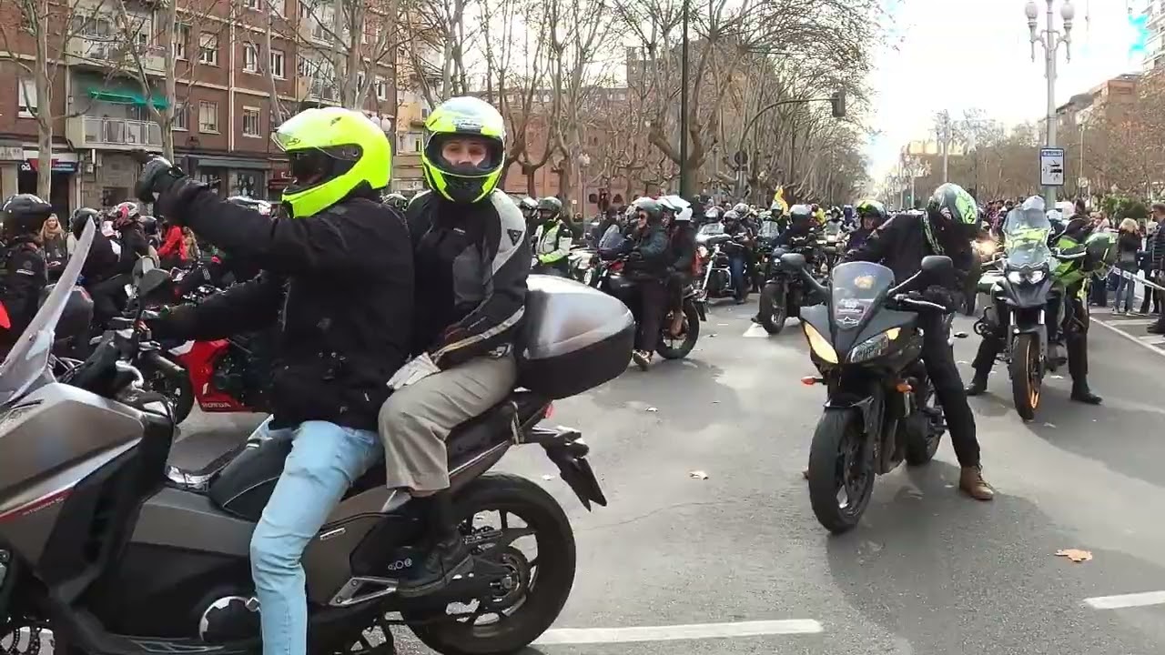 Desfile Banderas Completo Pingüinos 2025
