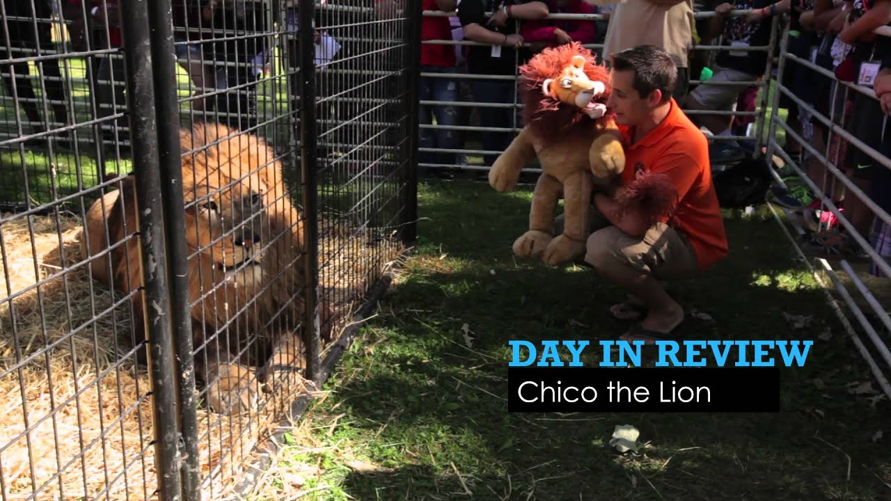 Oshkosh Pathfinder Camporee - Day in Review - Tuesday