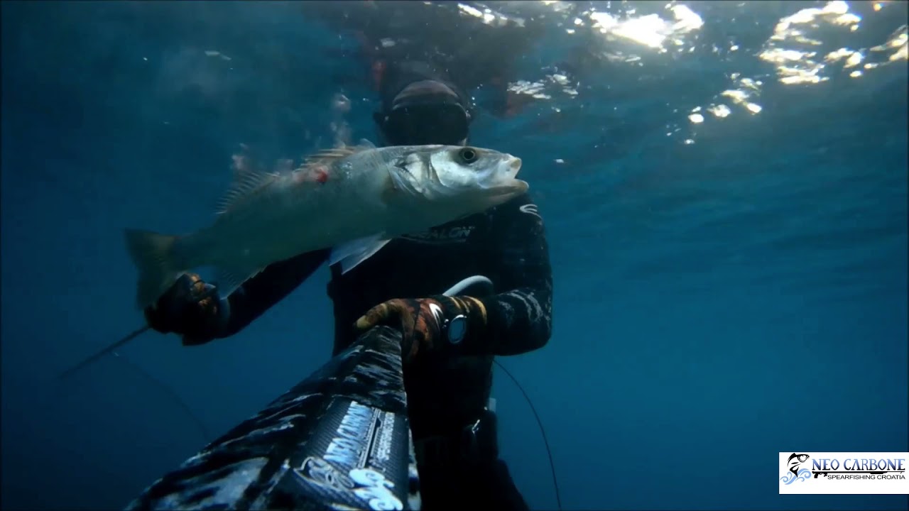 Spearfishing Croatia-Neo Carbone-Episode 15:"Winter is coming"