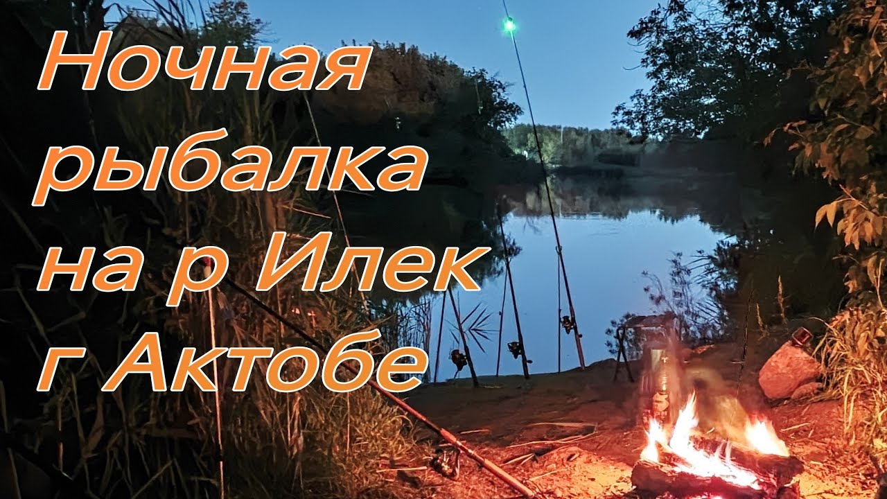 Рыбалка ночью на р Илек в августе Жерех после удара электроудочки  г Актобе 2025г