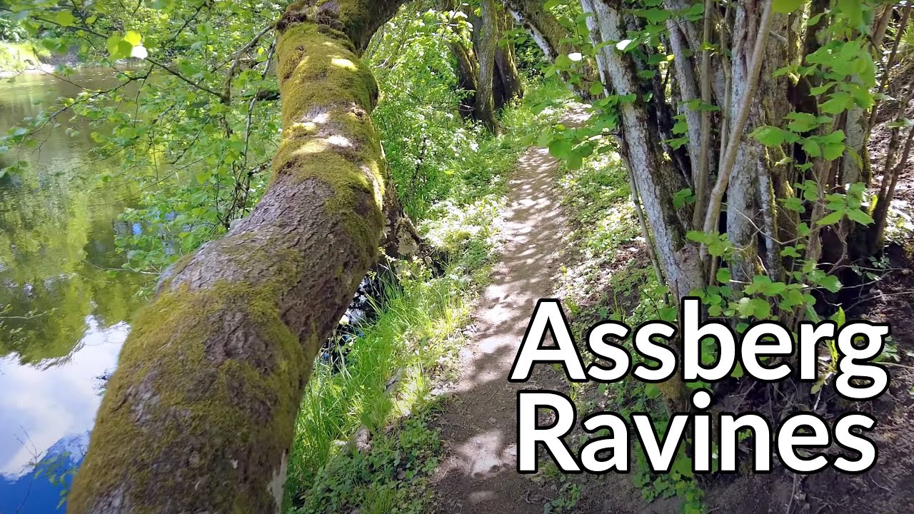 Nature walk through the ravines of Assberg (Assbergs Raviner) in Skene, Sweden