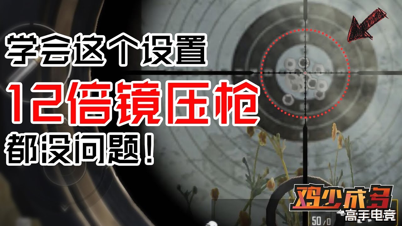 刺激战场这样设置就能无后坐力，8倍镜压枪全打一个点都没问题
