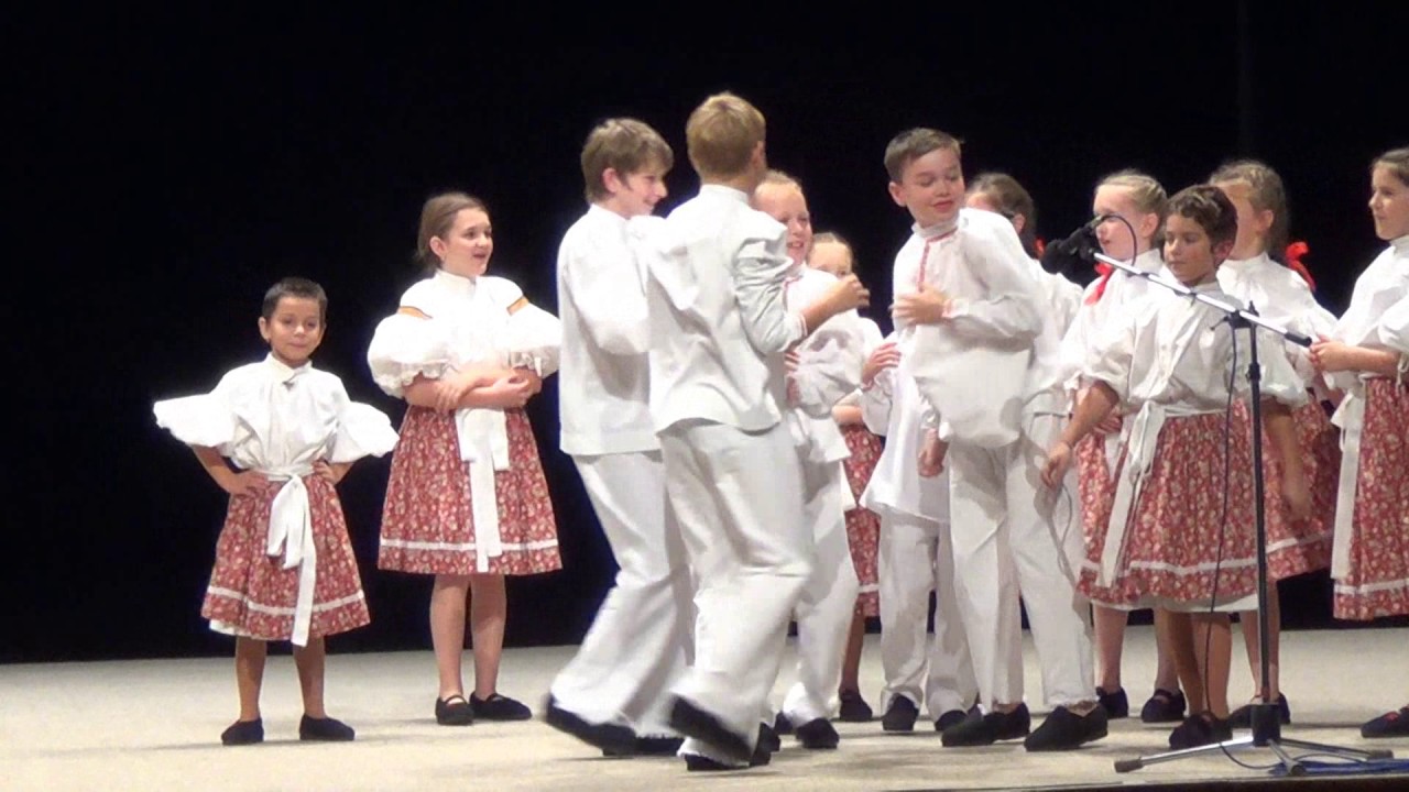 Mám já koňa vraného