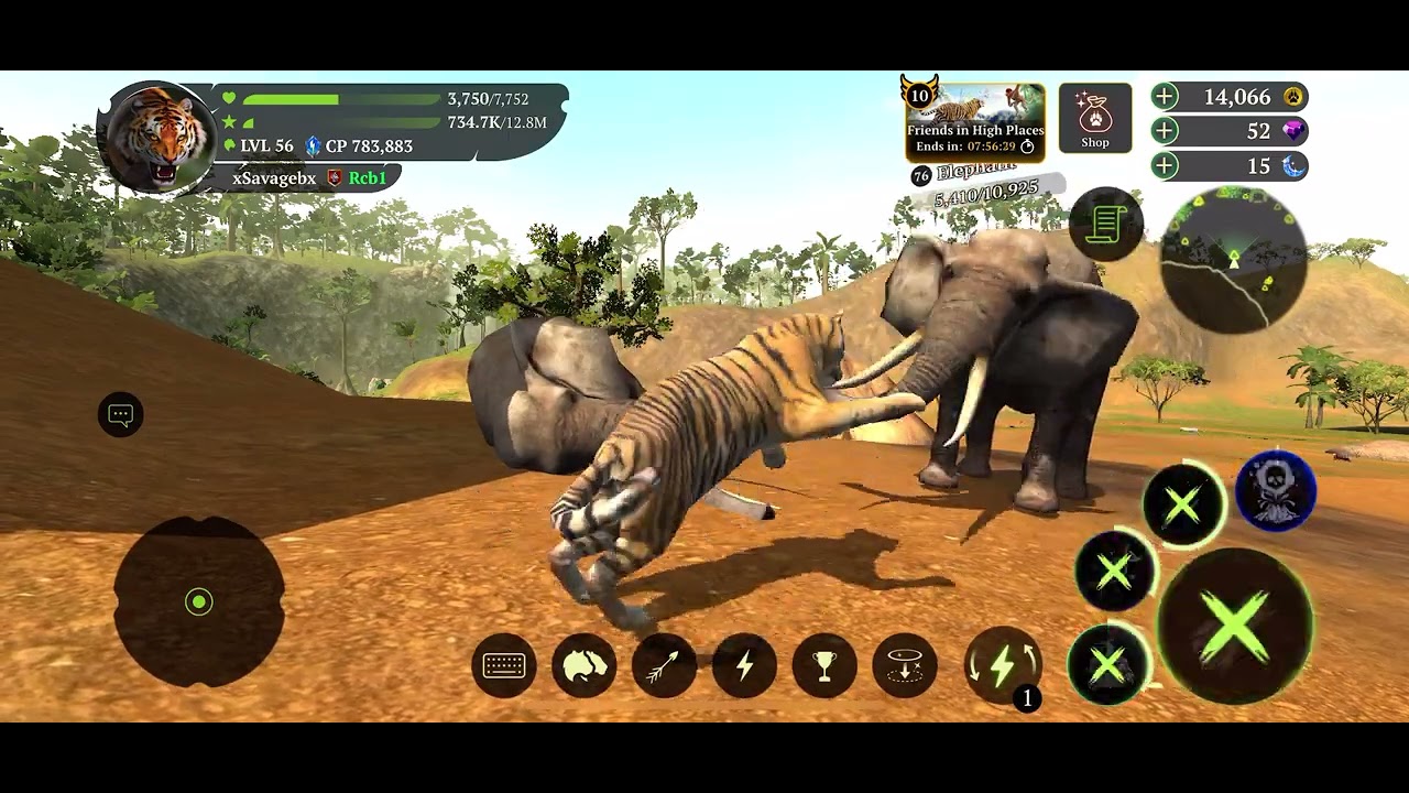 The tiger map 3