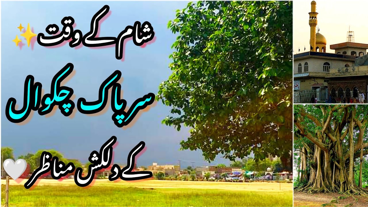 Sarpak Ground Chakwal | چکوال سرپاک #vlog #sarpak #chakwal #trending #weather #viral #shortvideo...