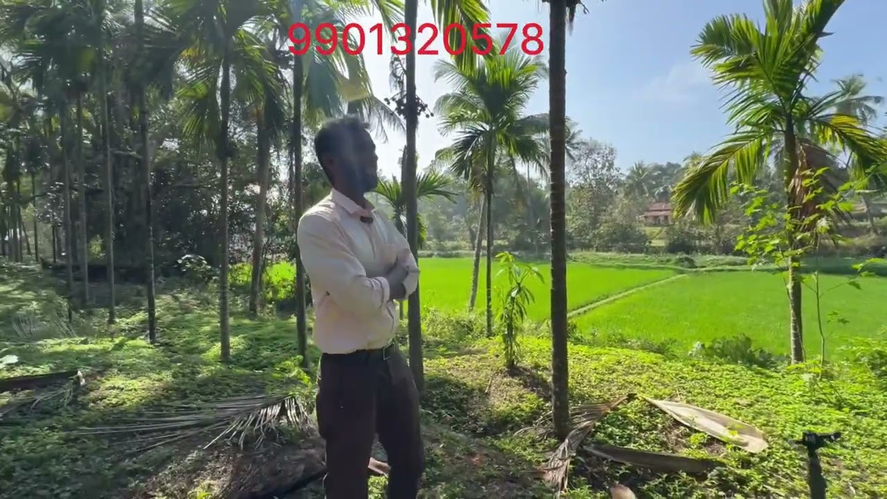 AGRICULTURE LAND FOR SALE IN MOODBIDRI |3.6ACRE AGRICULTURE PROPERTY FOR SALE |LAND FOR SALE