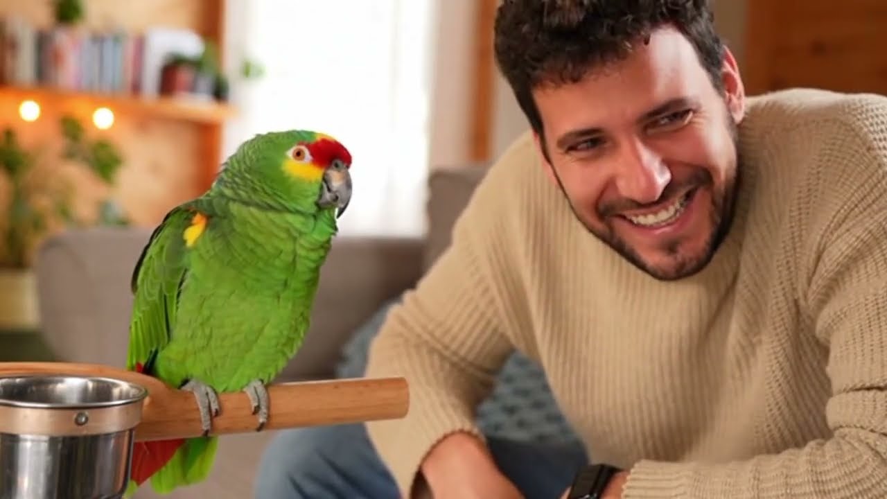 Loro Divertido 🦜