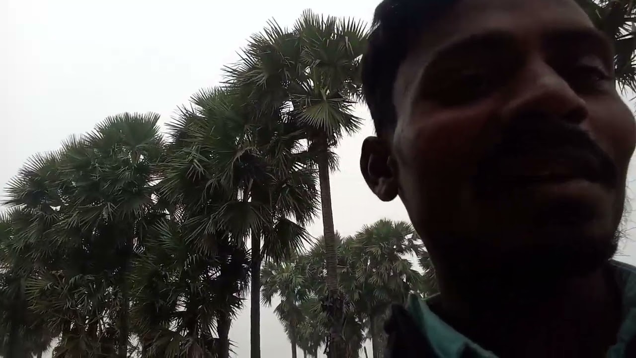 Raja video #ham Apne gaon mein dhn aise nikaalte Hain#gehlaur