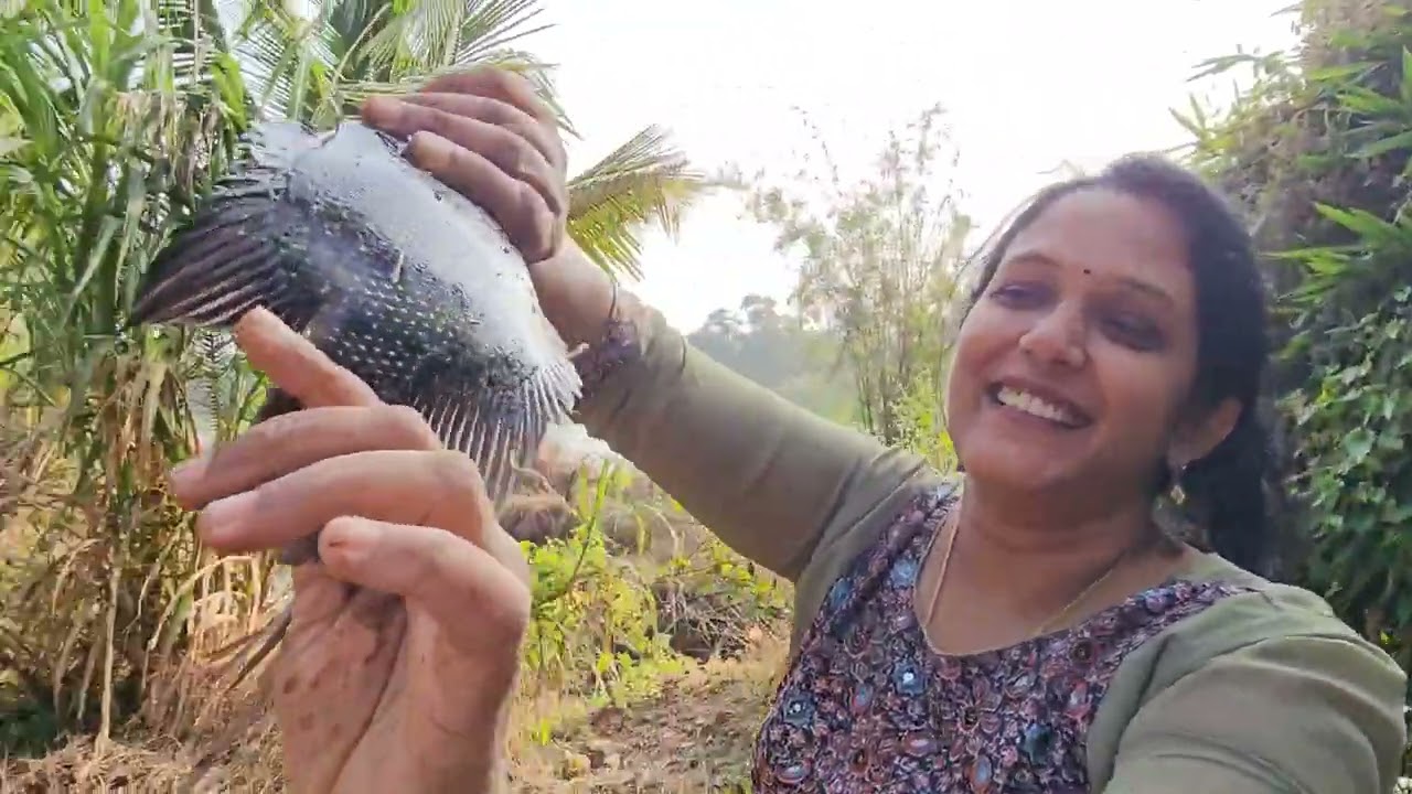 ഇതിപ്പൊ ഉണങ്ങിപ്പോയേനെ @ annazzvlog