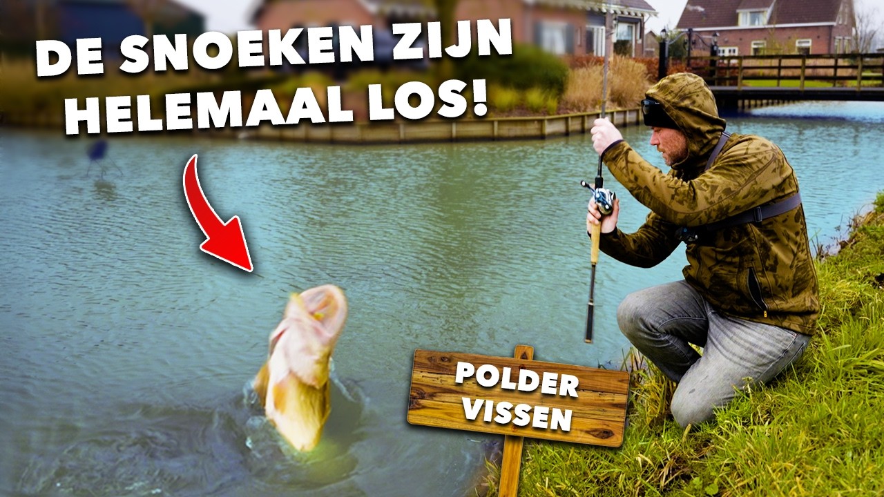 BIZAR veel  SNOEK AANBETEN in TROEBEL WATER!