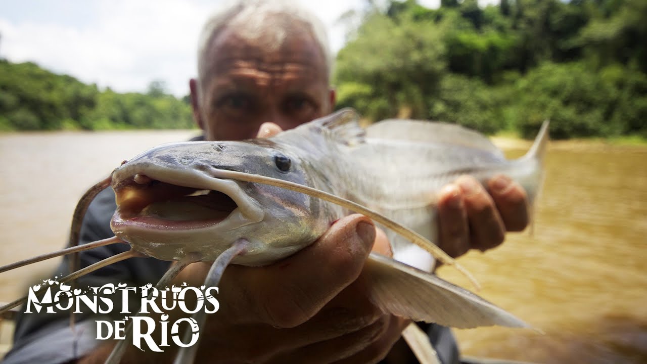Desgarrador de Rostros: El Caso Más Horrible de Jeremy Wade | T5 E06 | Monstruos de Río