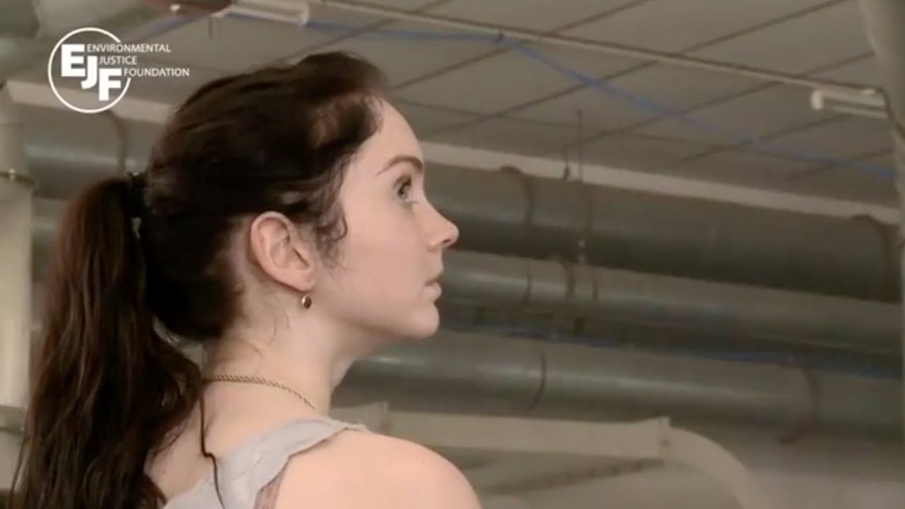 An EJF Film: A Model Supply Chain - Lily Cole in India