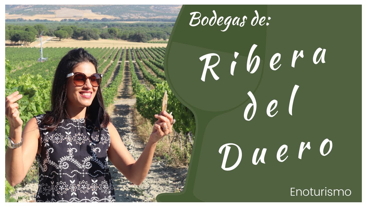Ribera del Duero - Visita de Enoturismo (Abadía Retuerta - Protos - Tinto Pesquera)