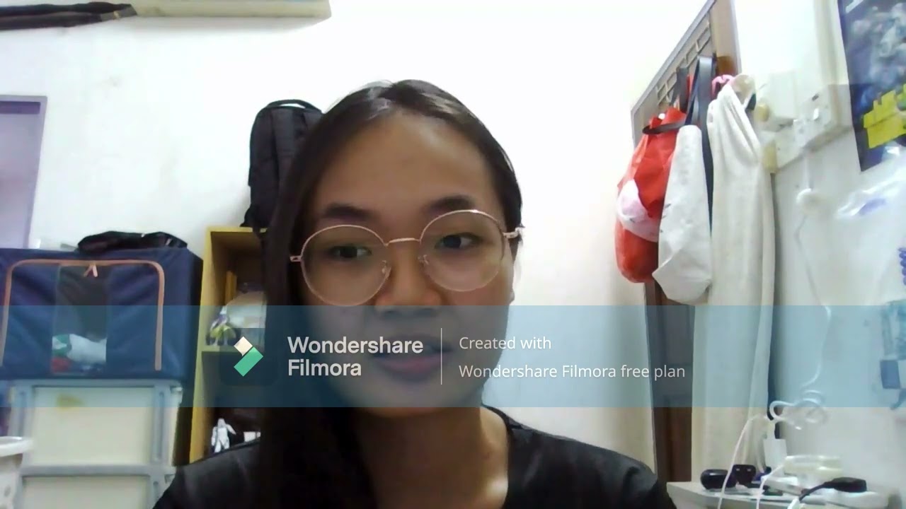 Reflective Vlog