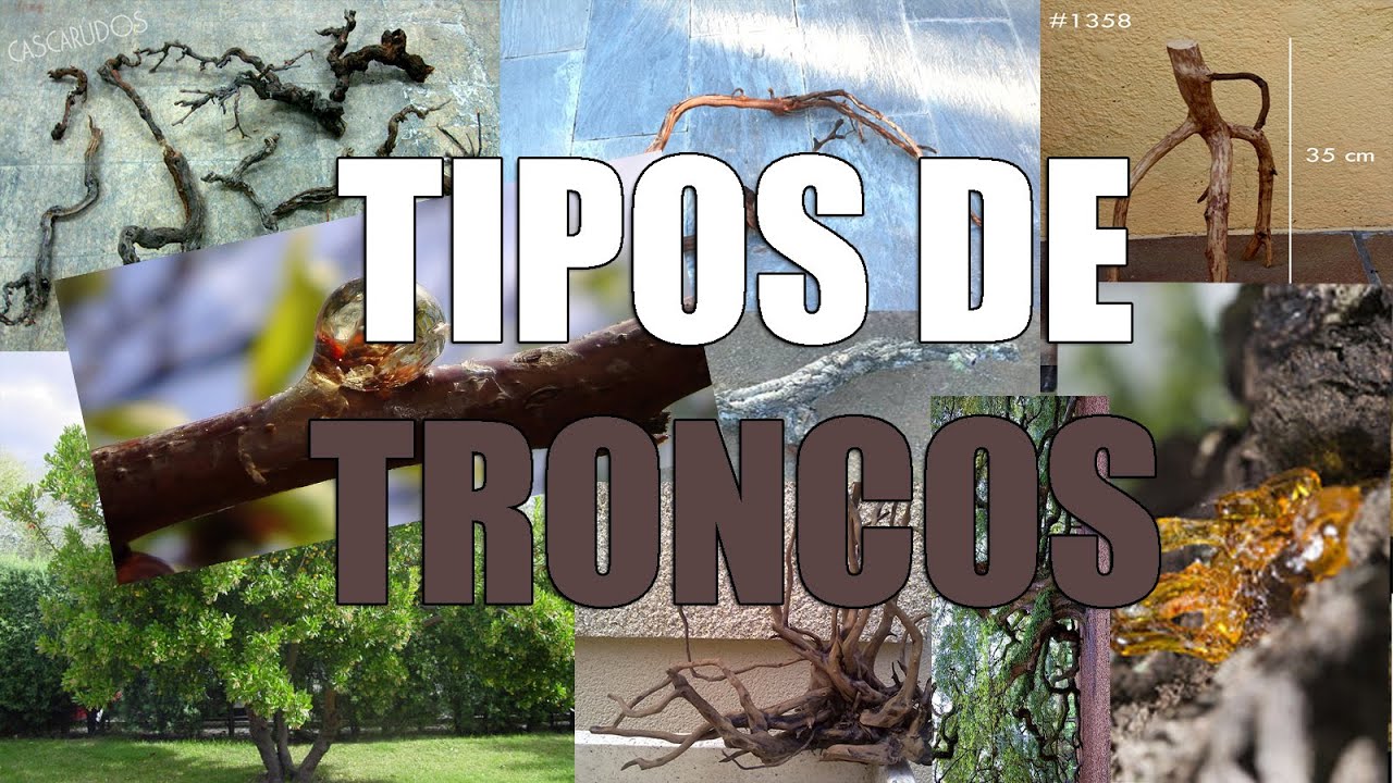TRONCOS PARA ACUARIOS